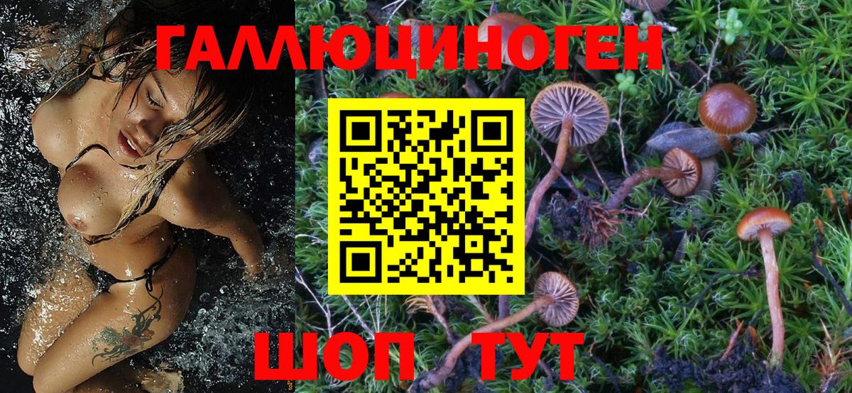 Экстази  Вход с VPN  Мытищи  МЕФ   Cocaine  ГАШ  Бошки Шишки  ГАШИШ  Alpha-PVP СОЛЬ  