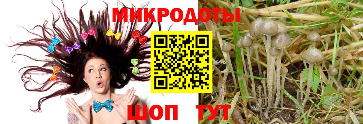 Галлюциногенные грибы Cubensis  Вход с VPN  Мытищи 