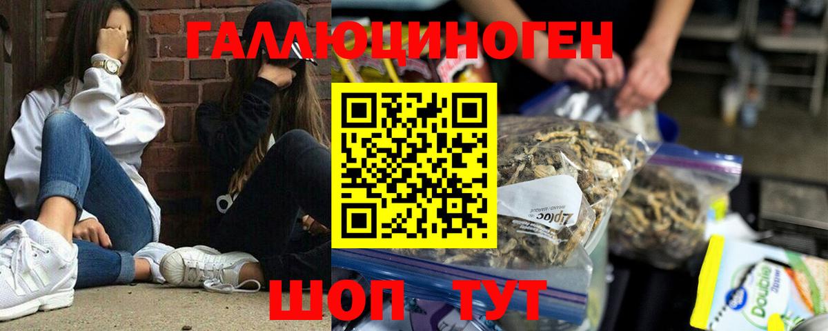 Псилоцибиновые грибы Psilocybine cubensis Мытищи